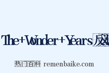 The+Wonder+Years反义词是什么意思的图片